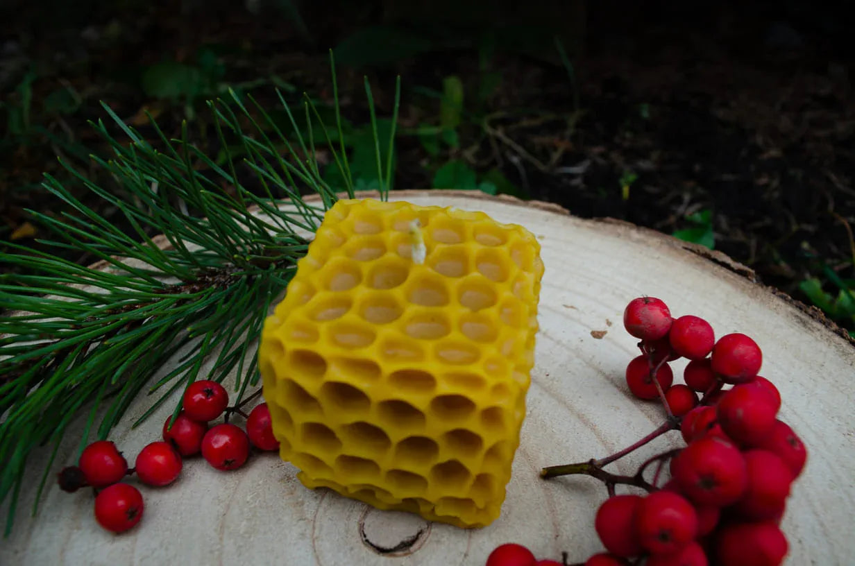 Geltona, kubo formos su korio imitacija bičių vaško žvakė pastatyta ant kelmo.