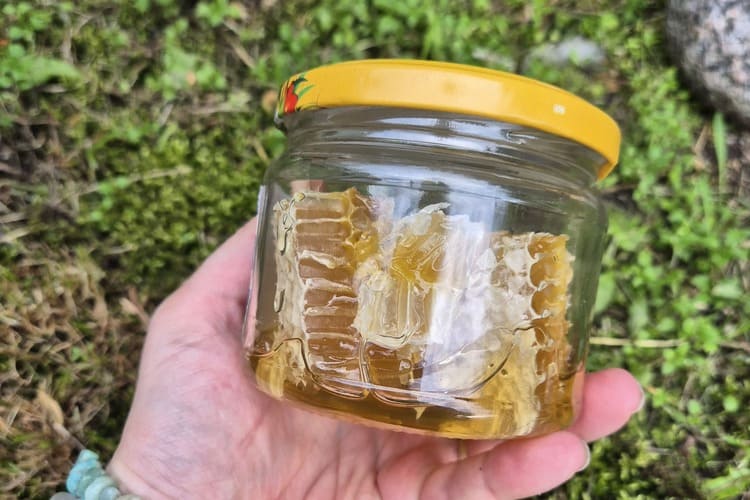 Lietuviški Medaus koriukai